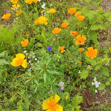 Udsen House Apartment Havndal