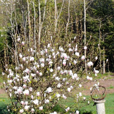 Udsen House Apartment